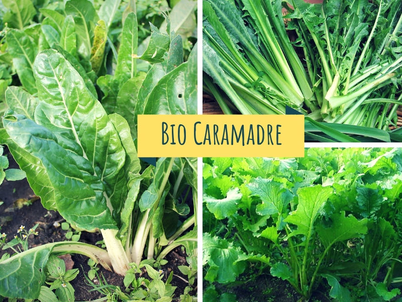 Kalulu Verdura A Foglia Bio